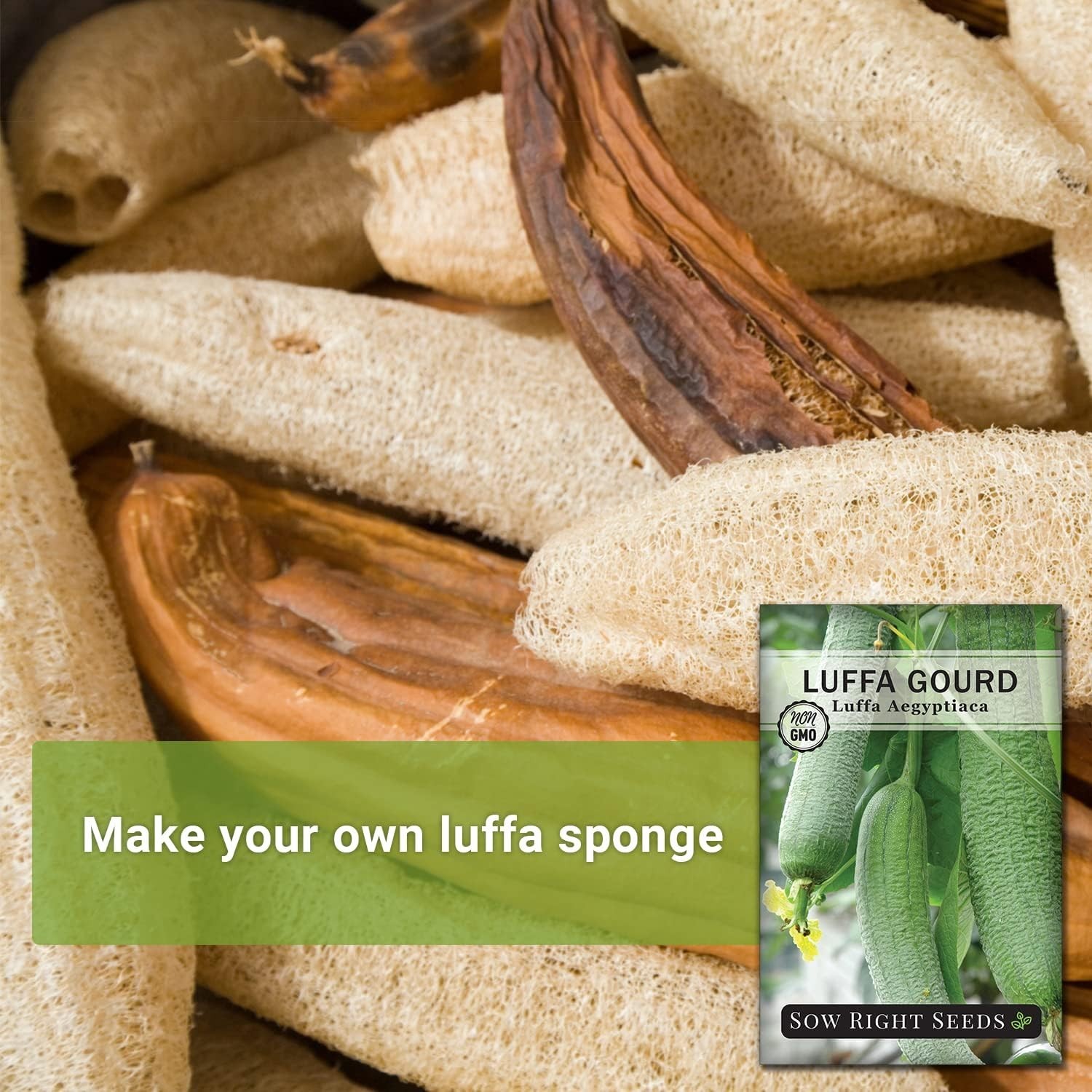 Luffa Gourd Seed Packet: Easy Growing Instructions for Exfoliating Bath Sponge