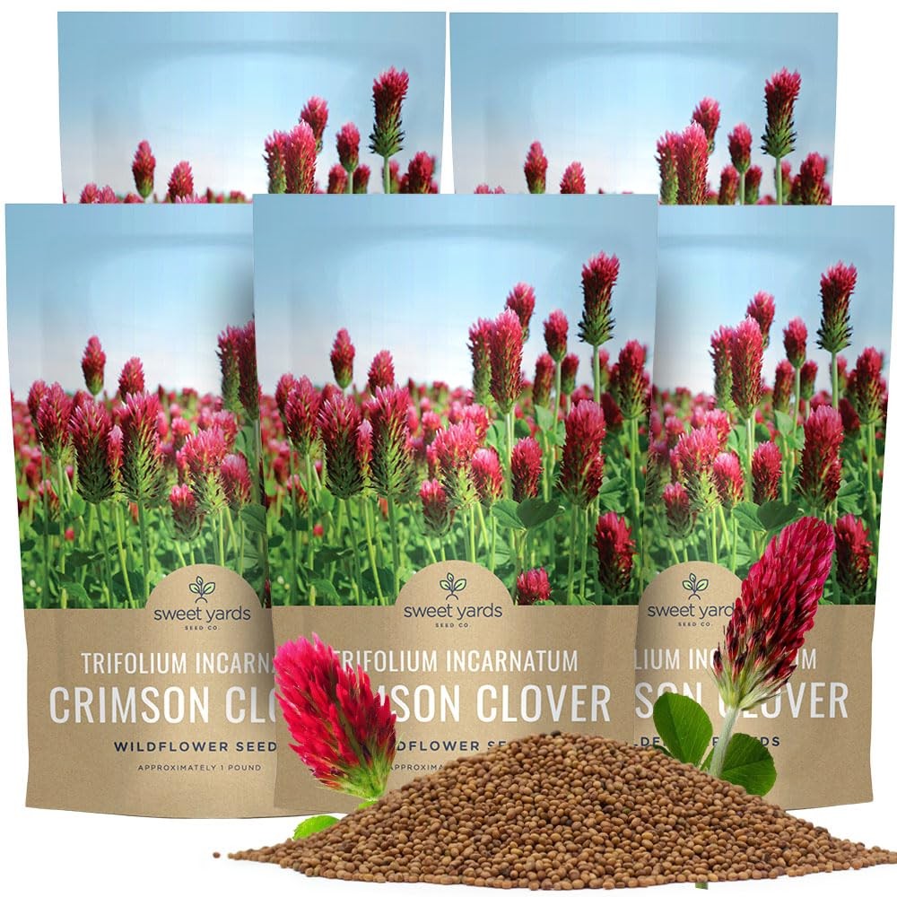 Buy 5 Pounds Crimson Clover Seeds NonGMO, Open Pollinated, Bulk Supply