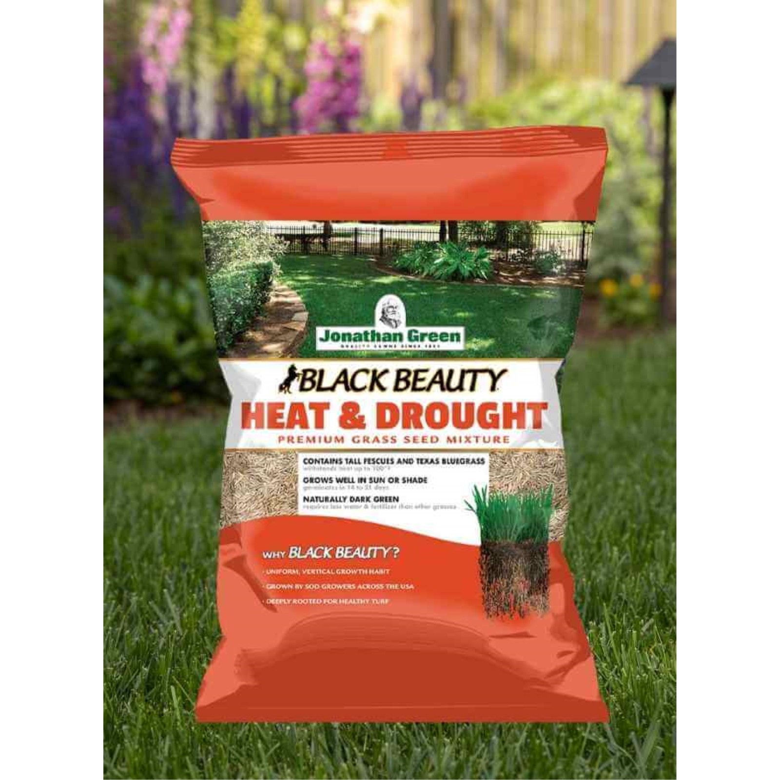 Jonathan Green Black Beauty Heat & Drought Grass Seed Mix, 7lb