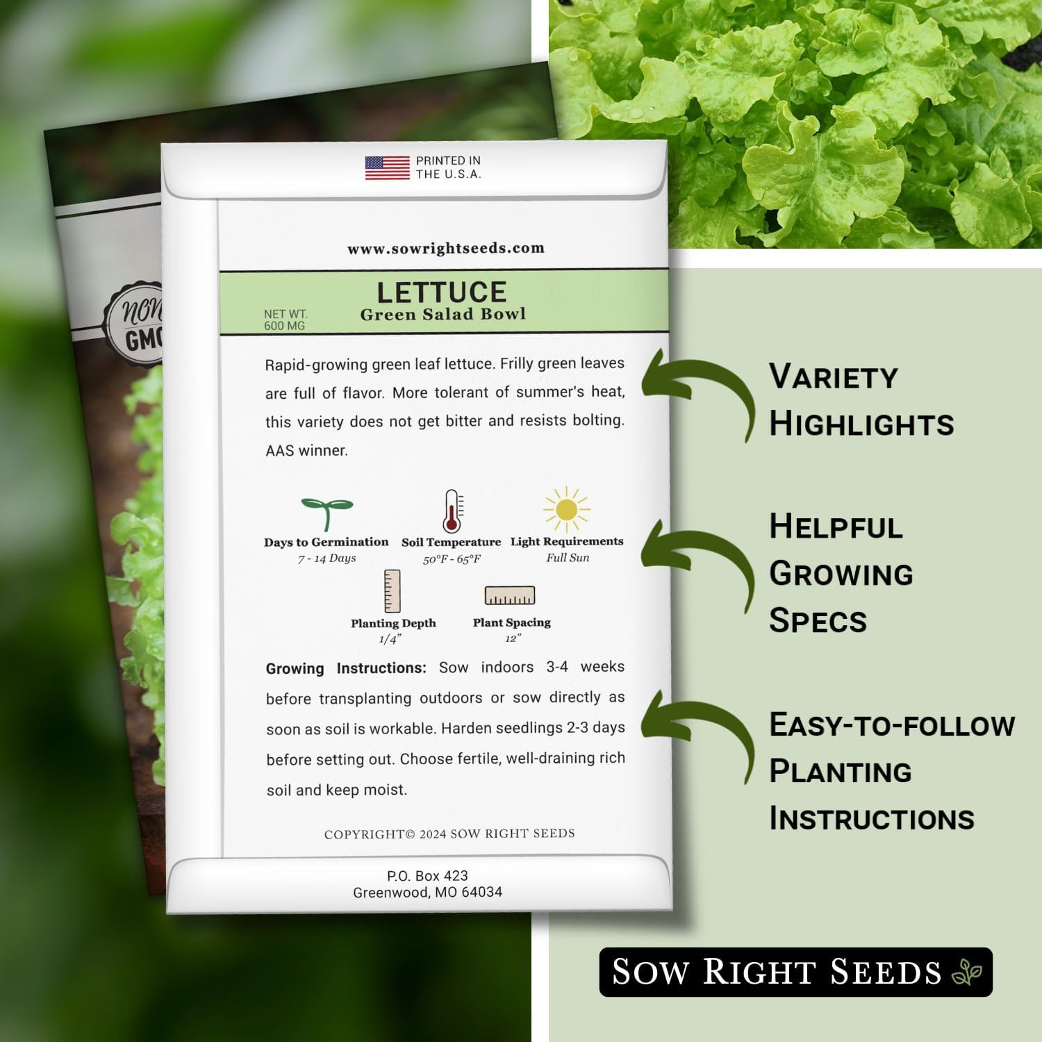 – Green Salad Bowl Lettuce Seeds for Planting – Ideal Spring or Fall Lettuce – G