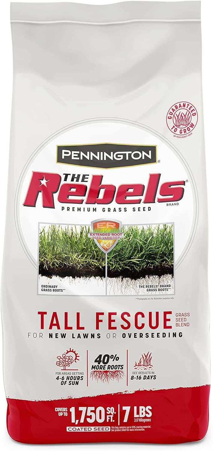 The Rebels Tall Fescue, Tall Fescue Grass Seeds for Lawn, 7 lb