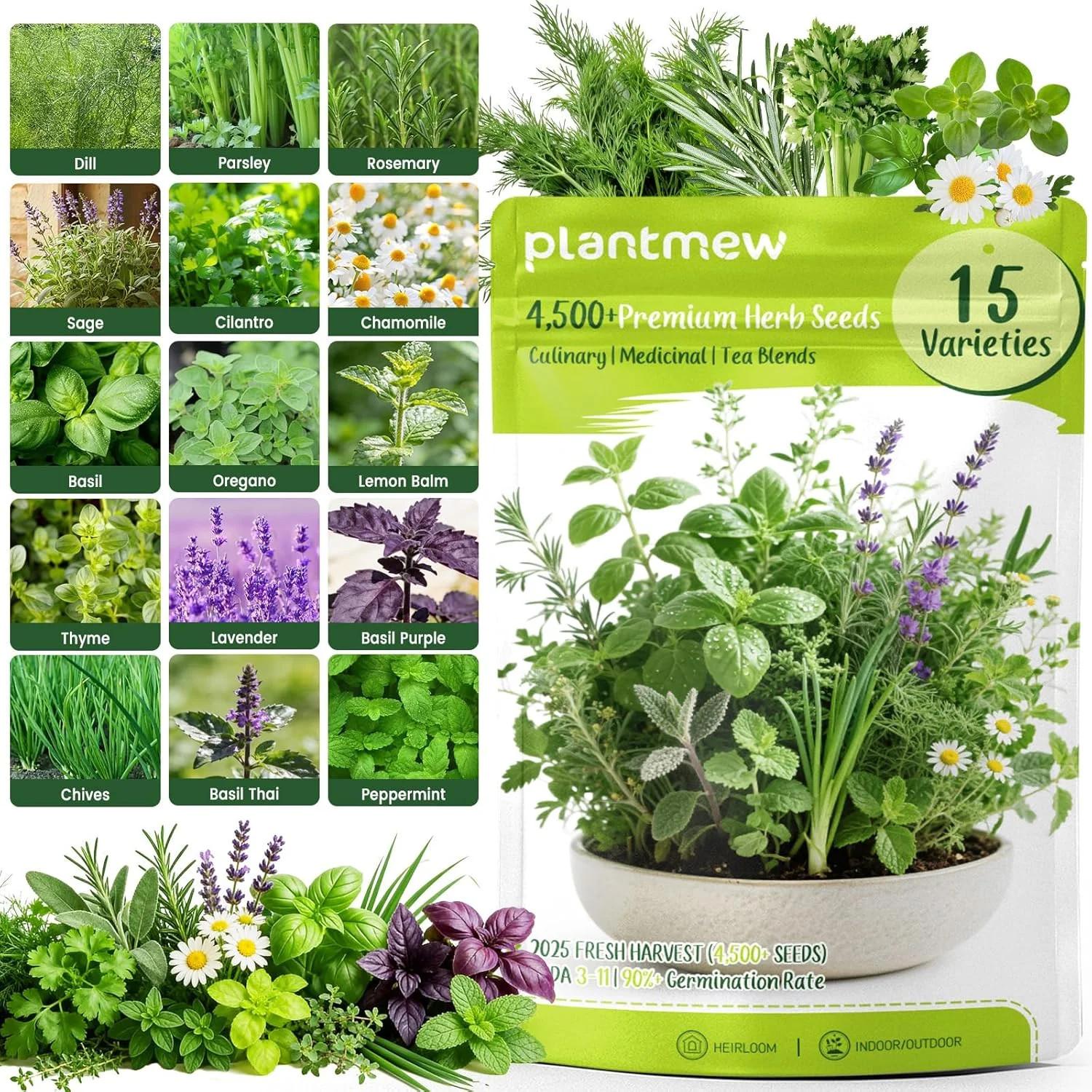 Herb Seeds 15-Pack – 4,500+ Heirloom Seeds for Planting – Indoor & Outdoor Herb