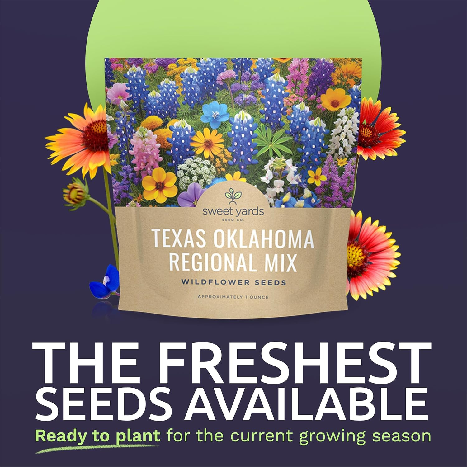 Texas Oklahoma Wildflower Seeds Mixture – Bulk 1 Ounce Packet – over 15,000 Nati