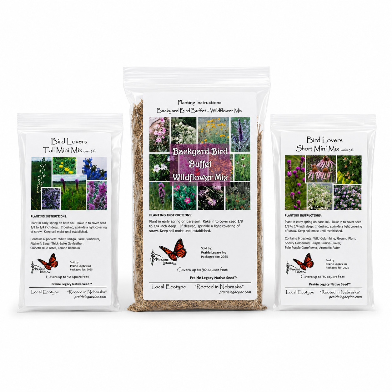 Backyard Bird Wildflower XL Bundle | Tall & Short Mini Mixes and Backyard Bird B