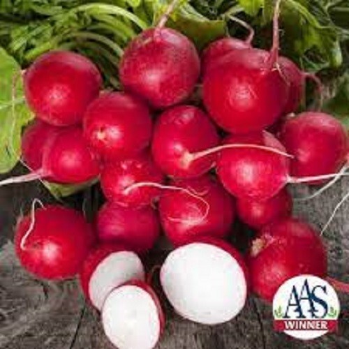 Premium Cherry Belle Radish – Fresh Organic, Heirloom Seeds – Most Popular Ever!