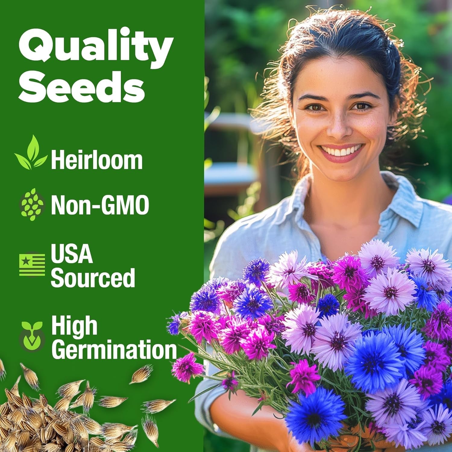 Vibrant Bachelor’s Button Flower Seeds – Heirloom Garden Mix for USDA Zones 2-11