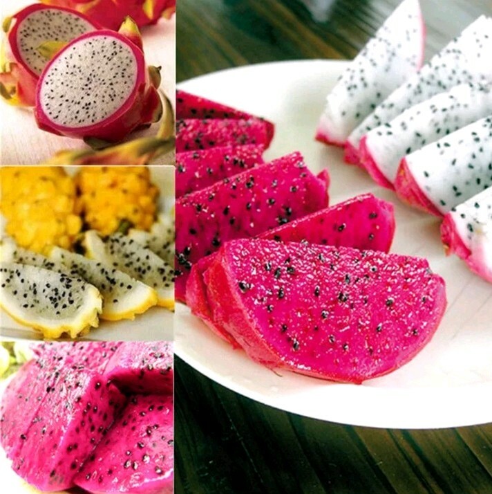 40 Dragon Fruit seeds( 10 Red, 10 purple, 10 Yellow, 10 White) individual packag