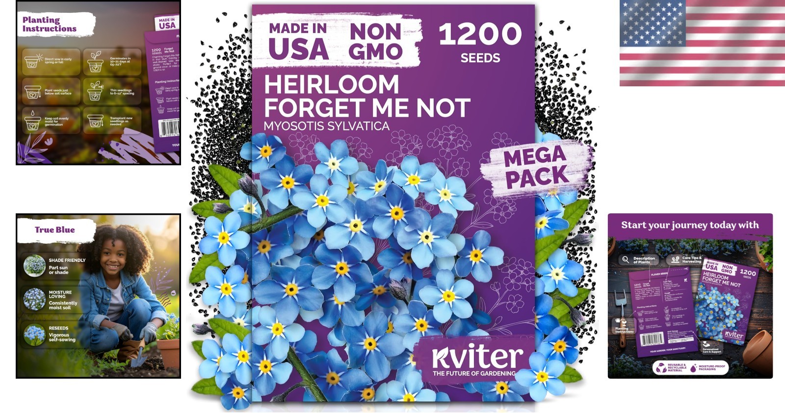 Myosotis Sylvatica 1200 Seeds – Vibrant Blue Perennials for Borders & Containers