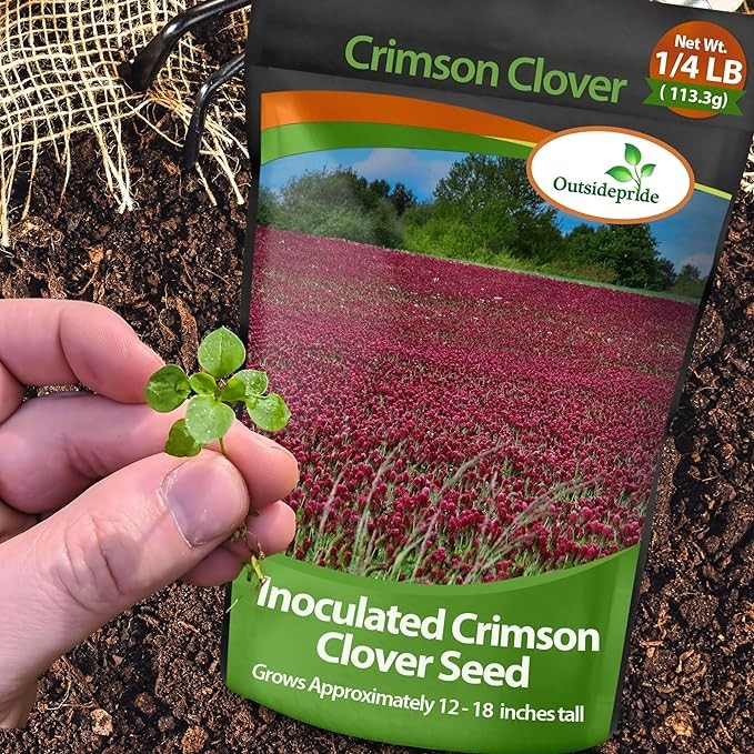 10 LBS – Inoculated Bulk Crimson Clover Seed For Planting Pastures, Cover