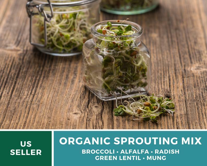 Sprout, 5 Part Mix – 1,000 Seeds – Grow All Year – Non GMO