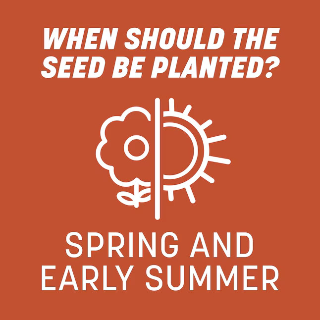 SALE- Pennington Smart Seed 8.75-lb Bermuda Grass Seed