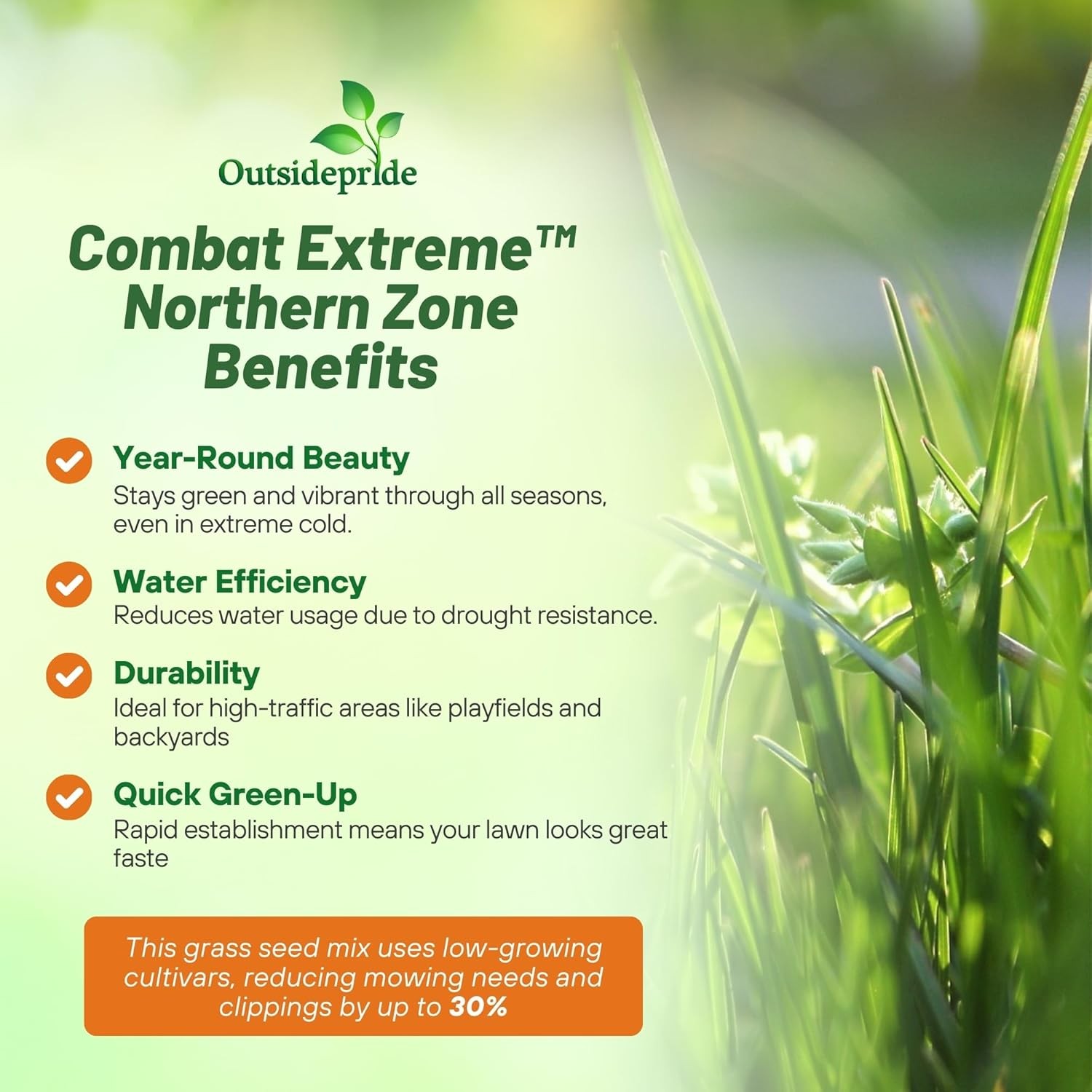 50 LBS – OptiGrowth Coated Combat Extreme Northern Zone – Tall Fescue &