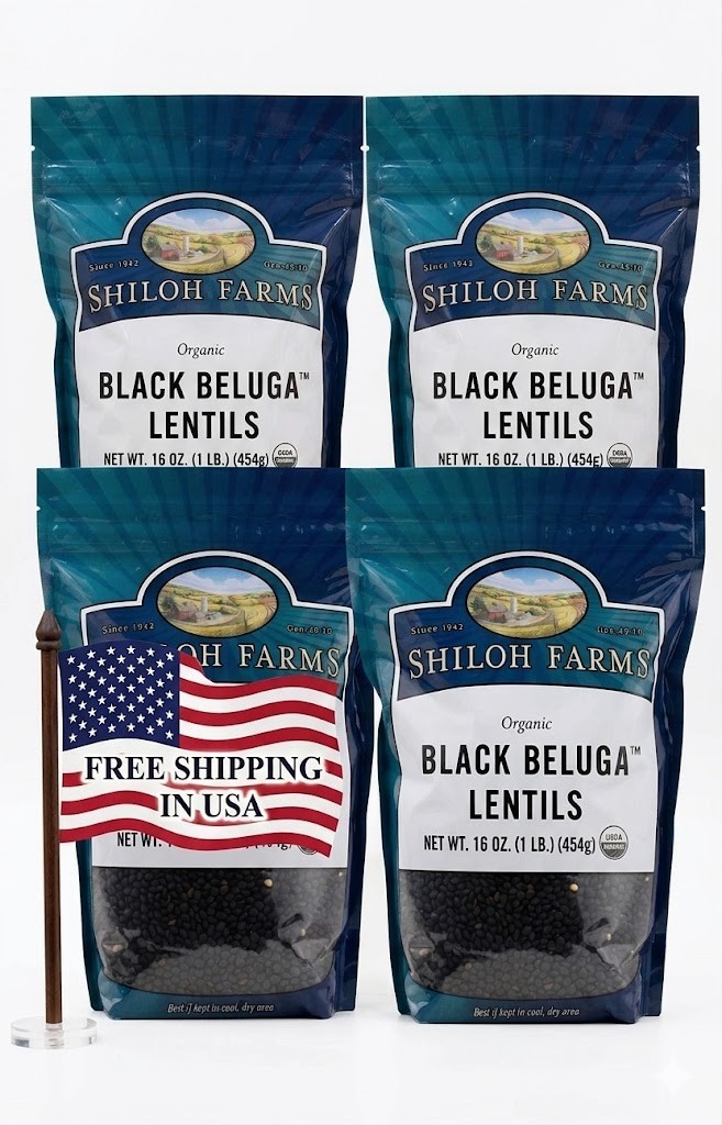 Shiloh Farms Organic Petite Black Lentils — 1l b (pack of 4)