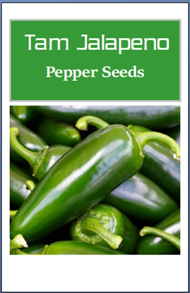 Tam Jalapeno Pepper Seeds | NON-GMO | Heirloom | Fresh Garden Seeds