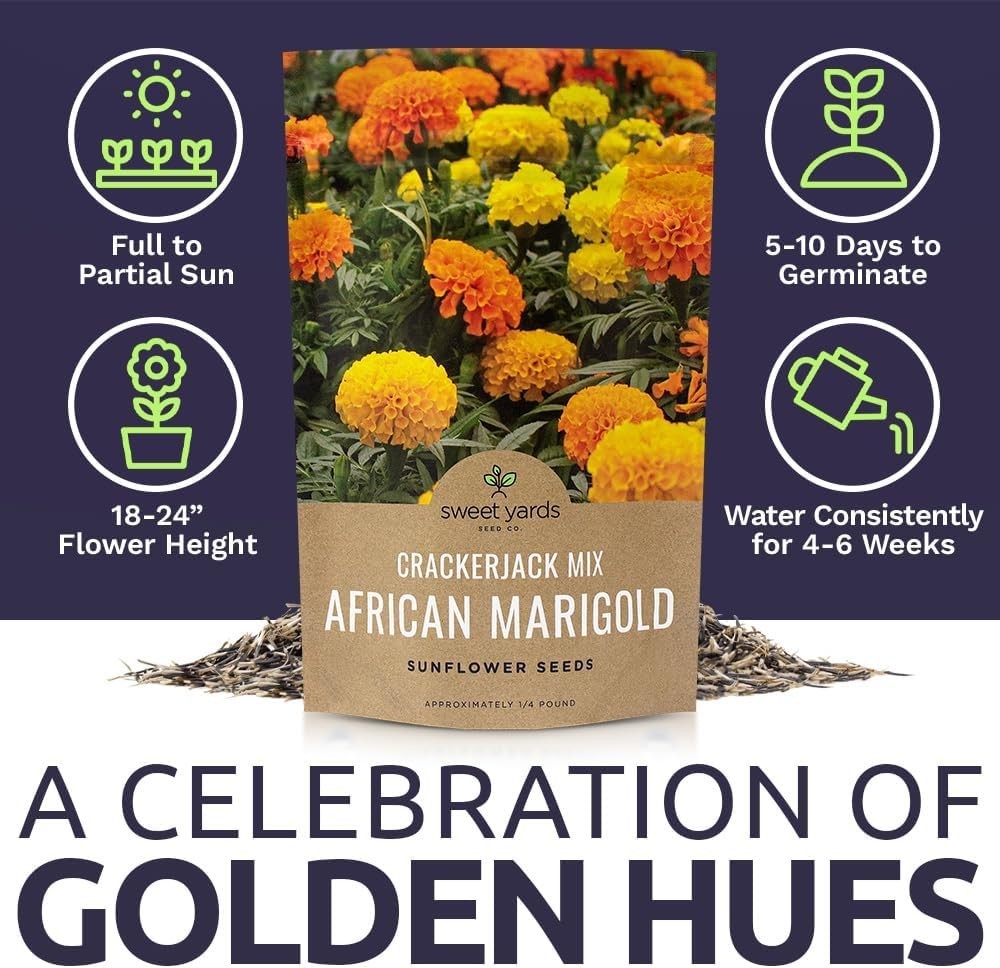 Stunning African Marigold Seeds – 1/4 lb Bag, 40,000 Seeds for Easy Gardening