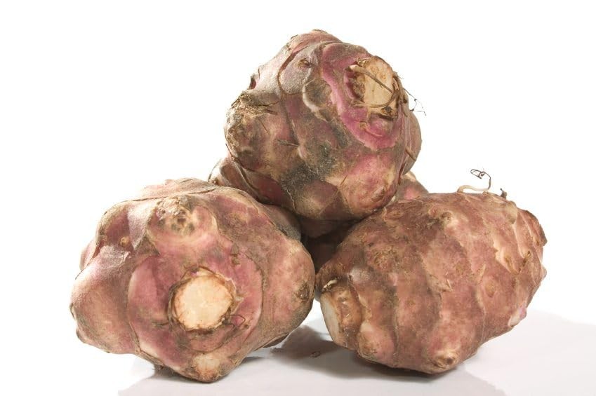 Jerusalem Artichokes set 5 Tuber Pack Raw Sunchokes food Brown