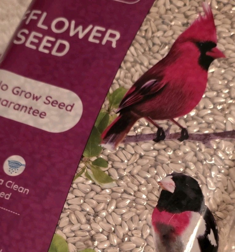 1 – Happy Wings Safflower Seeds Wild Bird Food 5 Pounds No Grow Seed Wild