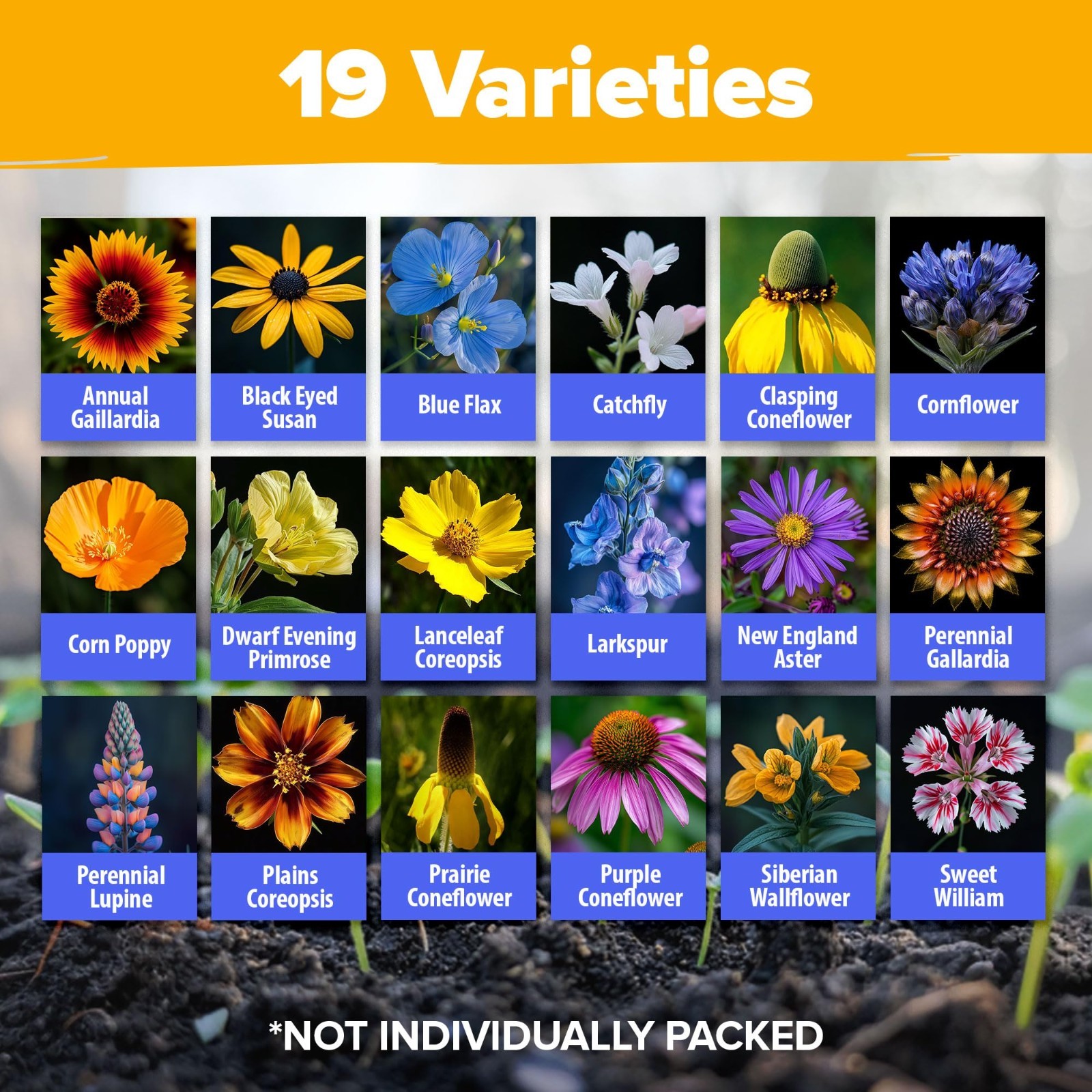 Midwest Wildflower Seed Mix – 65,000+ Heirloom Perennial Seeds for Bees, Birds &