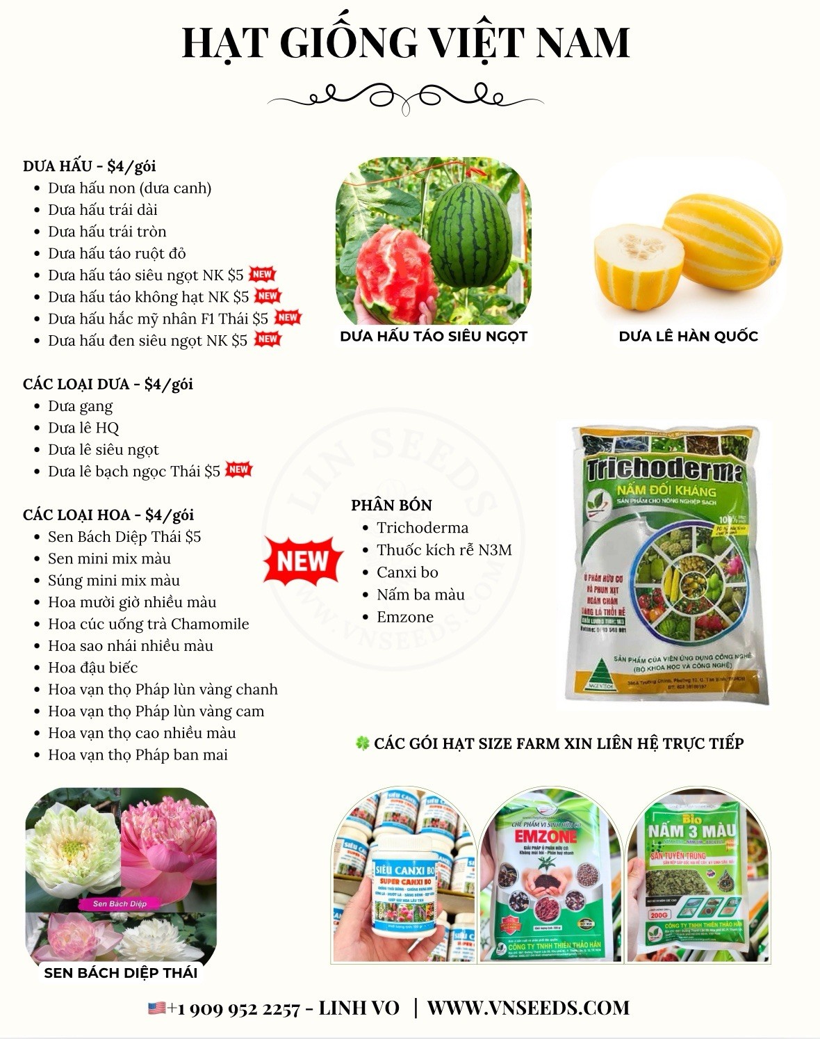 Hat Giong Cai Meo Ha Giang Mustard Seeds – Serrated Leaf – US Seller-Fast Ship