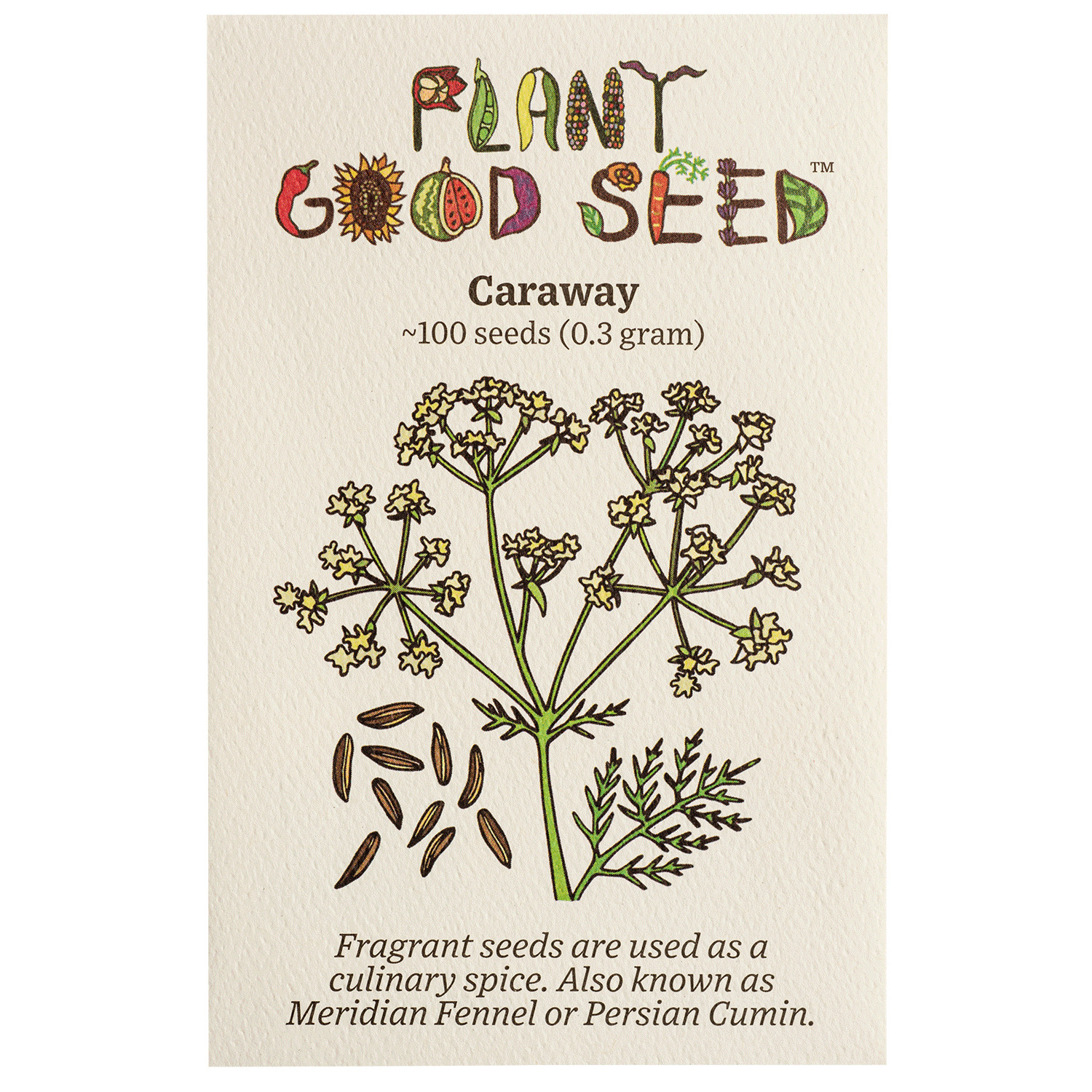 Caraway Seeds