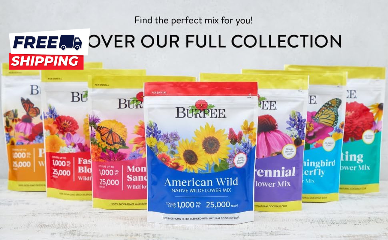 Wildflower 25,000 Bulk 1 Bag 18 Varieties of Non Gmo Flower Seeds Pollinator