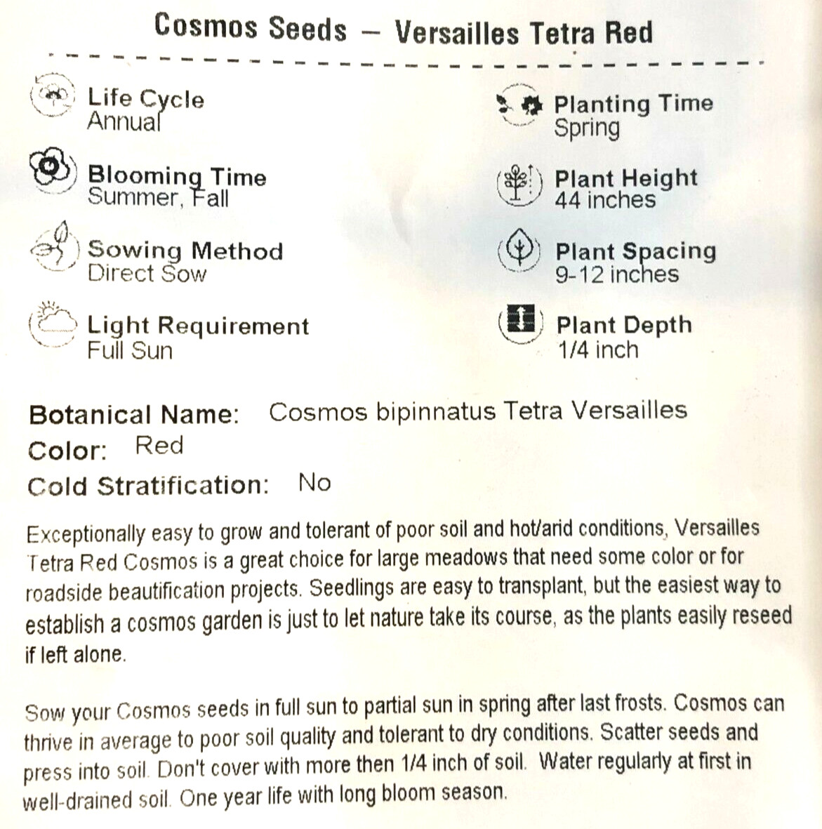 Cosmos VERSAILLES TETRA RED Flowers Pollinators Butterflies Non-GMO 50 Seeds!