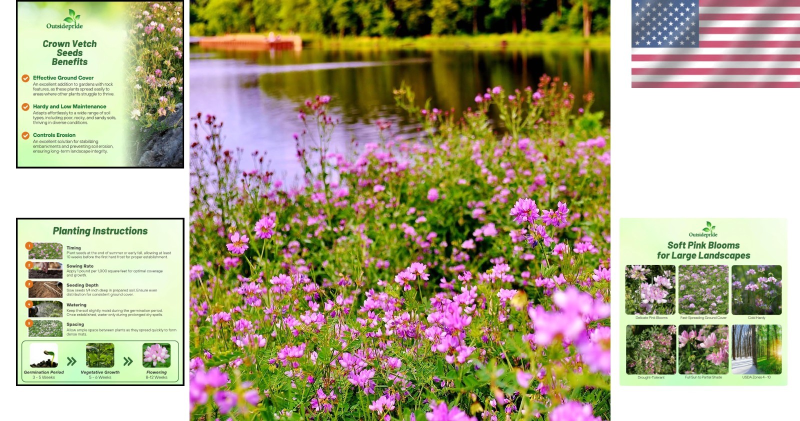 Versatile Crown Vetch Seeds – USDA Zone 4-10