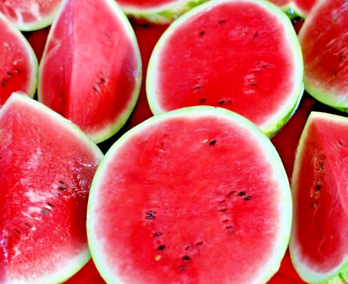 50+ SEEDS SUGAR BABY WATERMELON SUPER SWEET FRUIT HEIRLOOM NON-GMO MELON USA