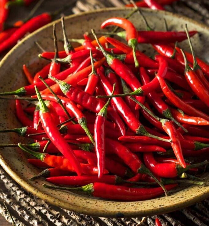 20 Top-Quality Freshly Harvested Thai Hot Red Culinary Premium Pepper Seeds-A 77