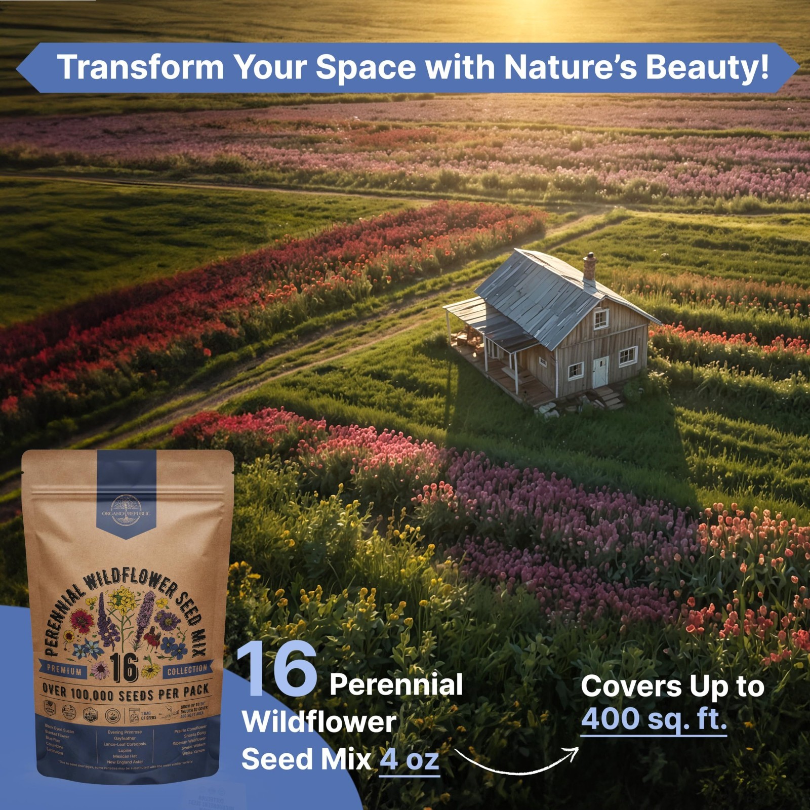 16 Perennial Wildflower Seed Mix – Non-GMO Heirloom Seeds for Garden & Pollinato