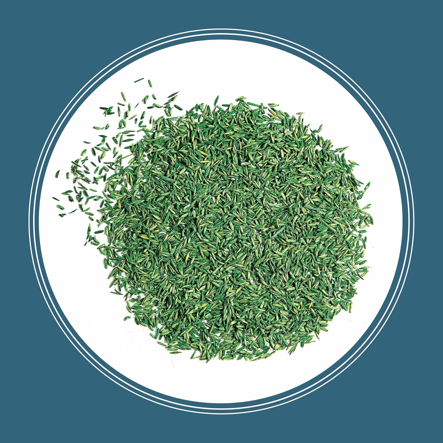 Smart Seed Ohio State Grass Mix 3 Lb