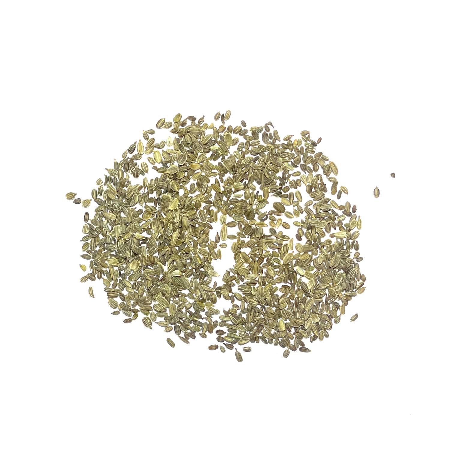 Royal Chantenay Carrot Seeds For Planting (Daucus carota)