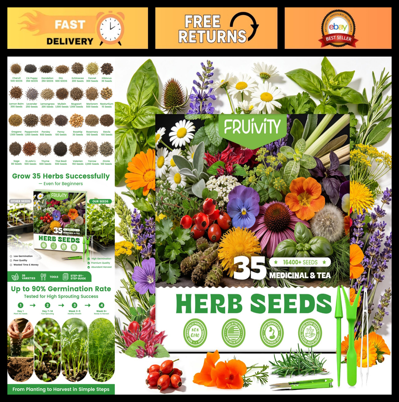 35 Medicinal & Tea Herb Seeds Variety Pack – 16,400+ Non-GMO Heirloom Seeds for