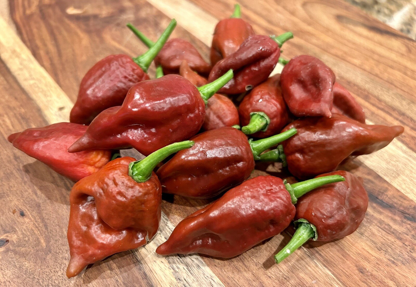 Super Hot Chocolate Ghost Chili Pepper, Bhut Jolokia – 15 Seeds 2024 – USA