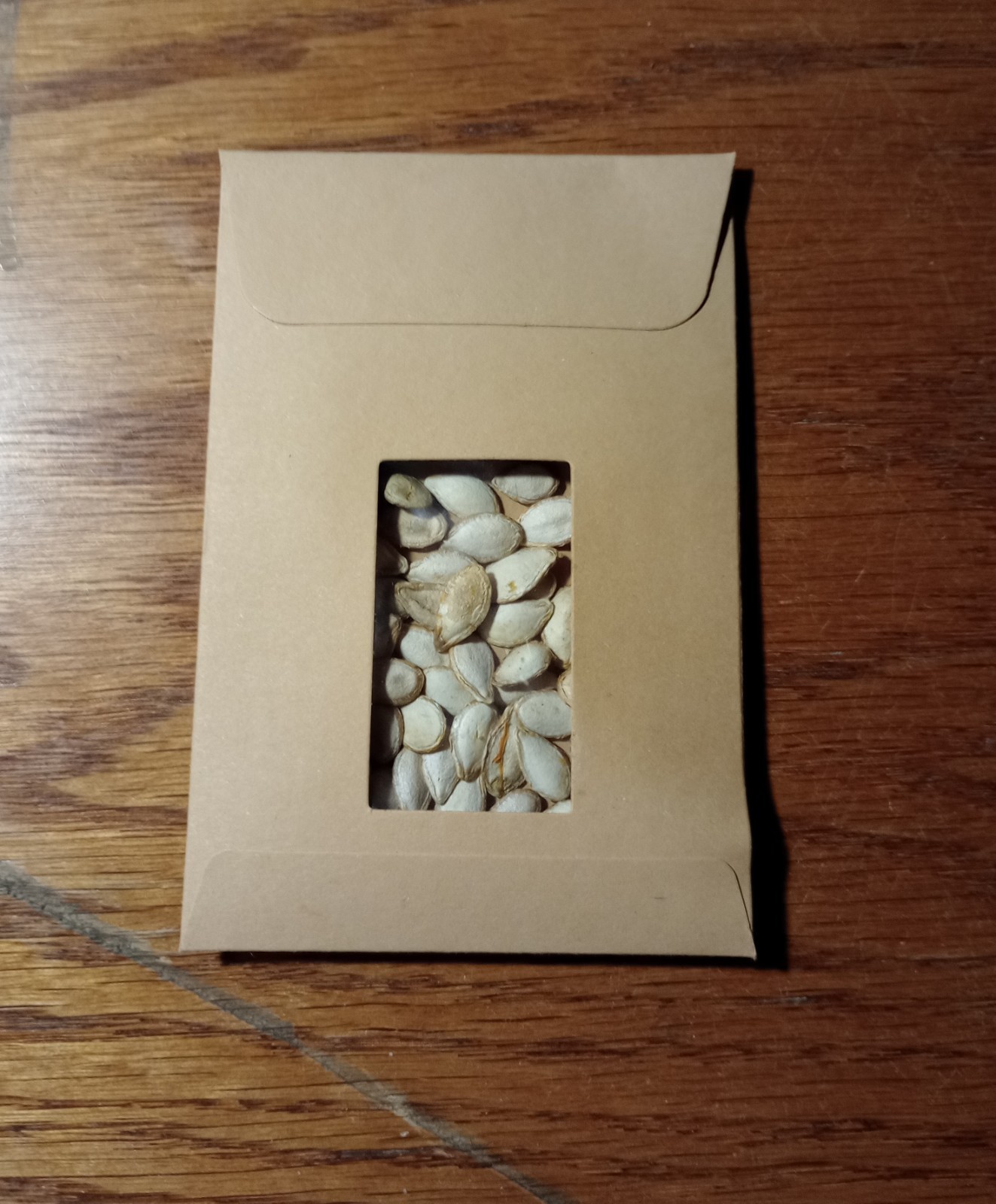 Butternut Squash Seeds 50 ct Collected 2025 Zones 3-12