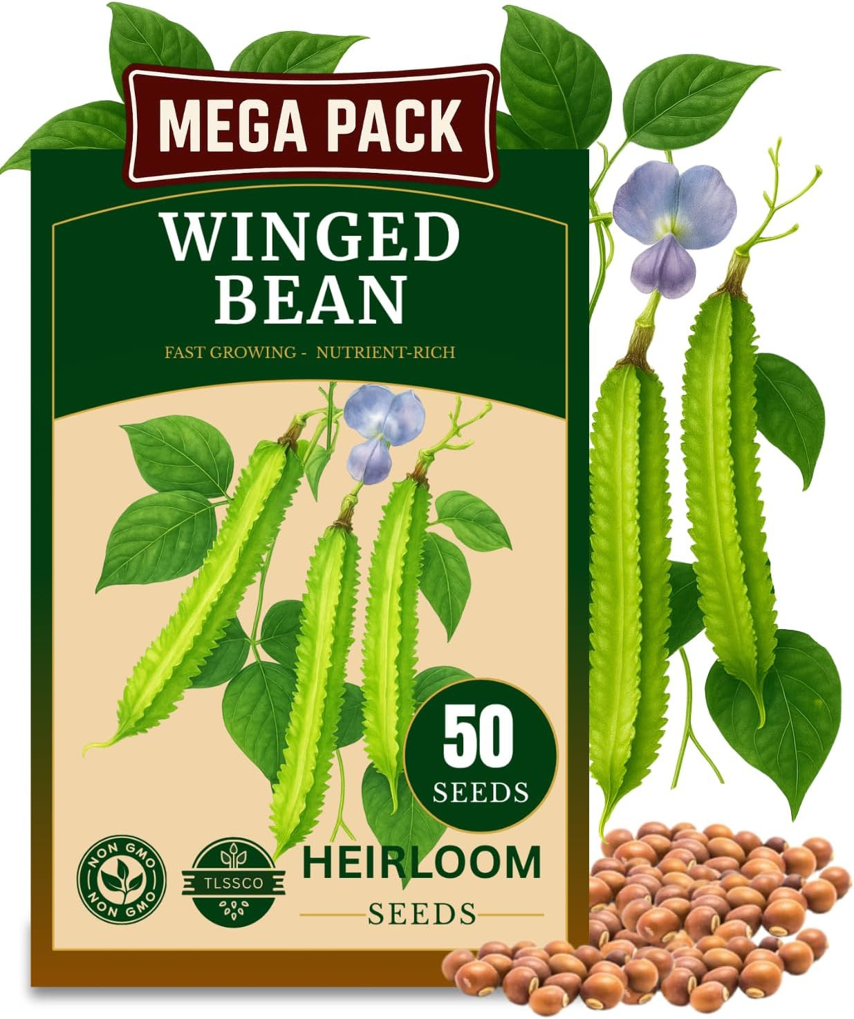 50+ USA Premium Winged Bean Seeds for Planting, Non-Gmo Seeds – High-Yield, Nutr