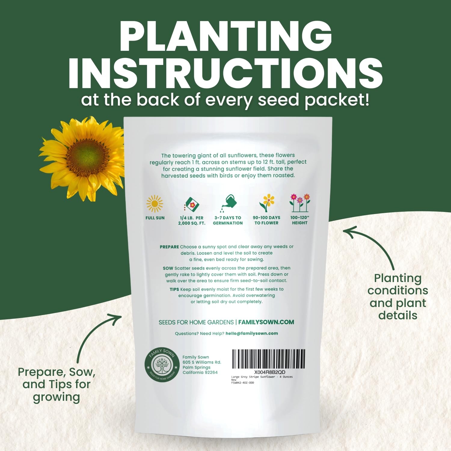 Large Grey Stripe Sunflower Seeds – 1,000 Count for Planting – 4 Ounce Packet