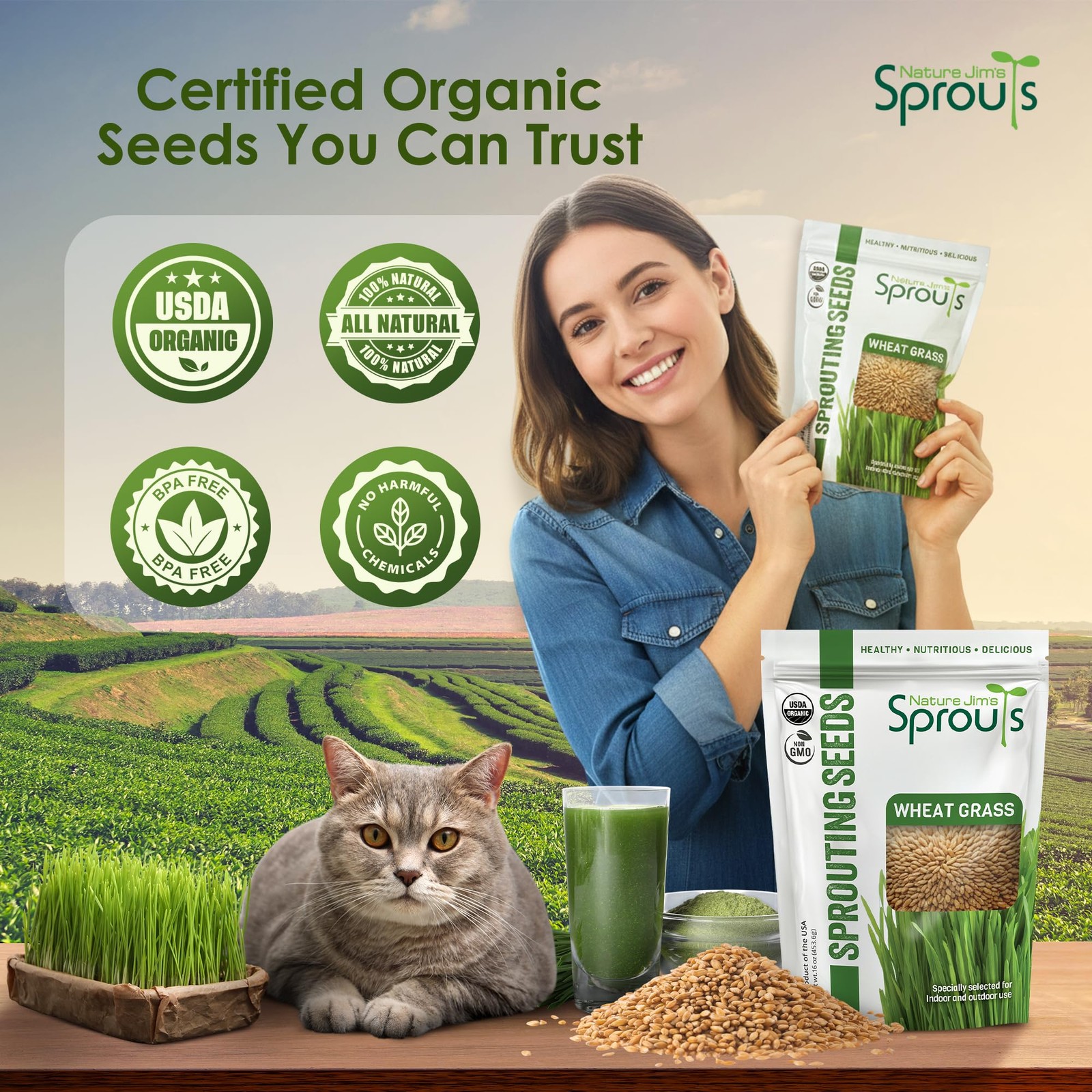 Wheat Grass Seeds – Non-GMO Organic Seeds for Planting, Cat Grass for Growing…