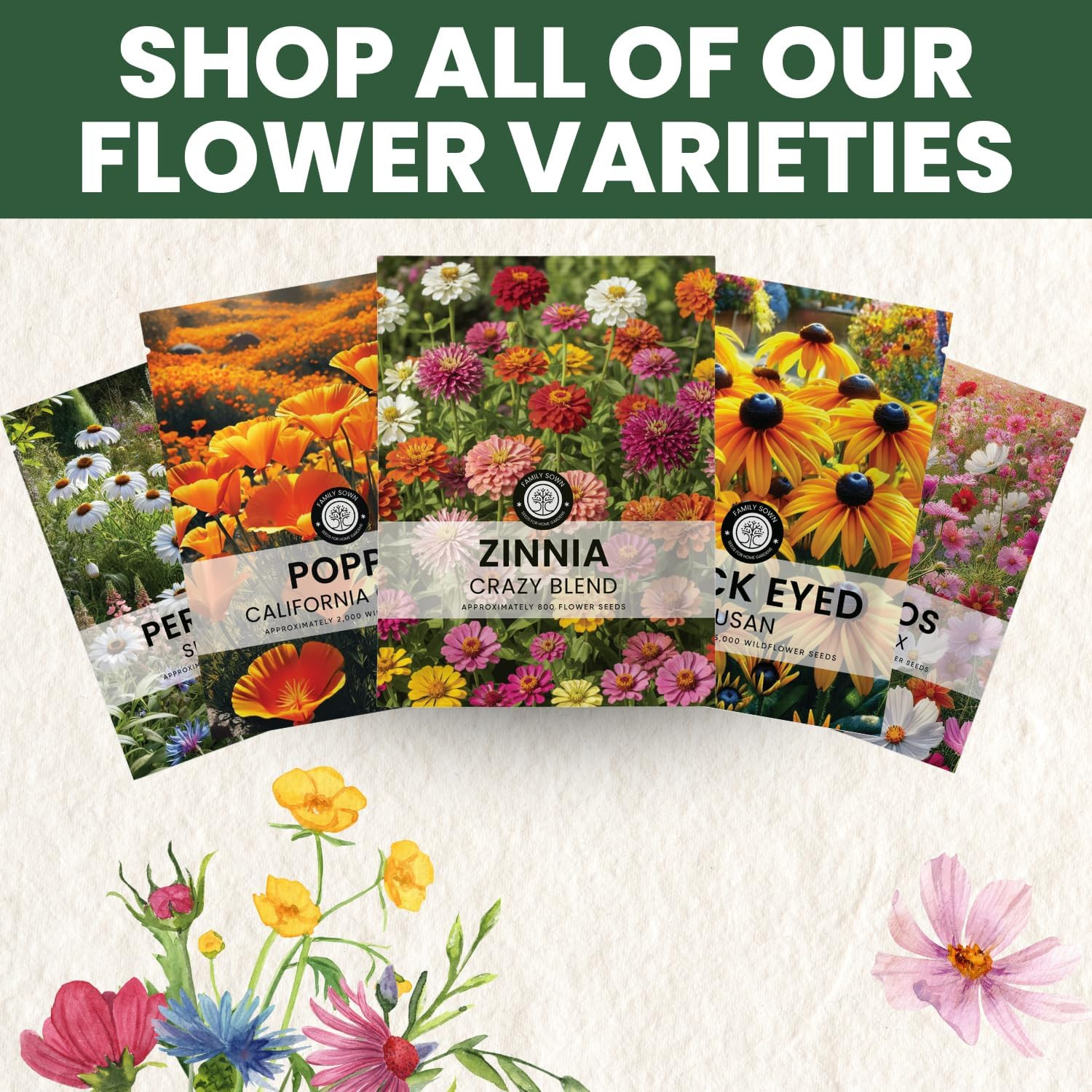 Zinnia Crazy Blend – 16,000 Seeds for Planting – 4 Ounce Pouch