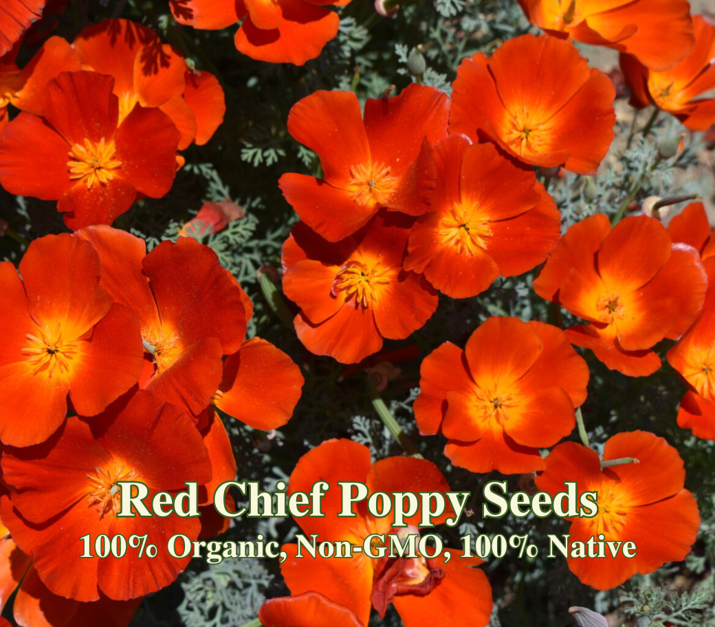 California Native Poppy Seed Mix