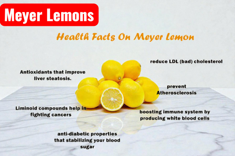 Meyer Lemon Seeds Citrus Fruit Tree 5 Seeds