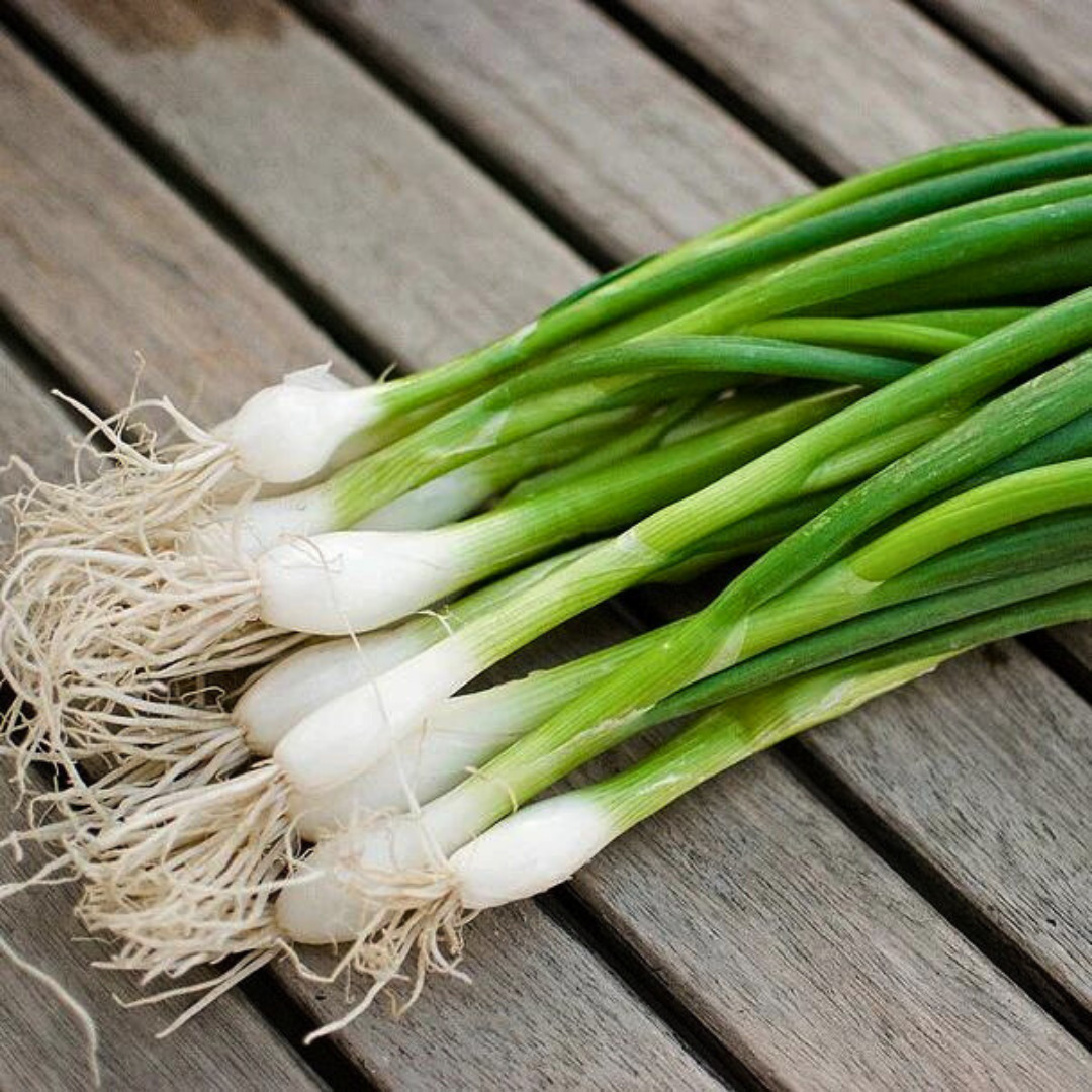 Fresh White Bunching Onion | Asian Green Onion | Heirloom Non-GMO | Vegetables