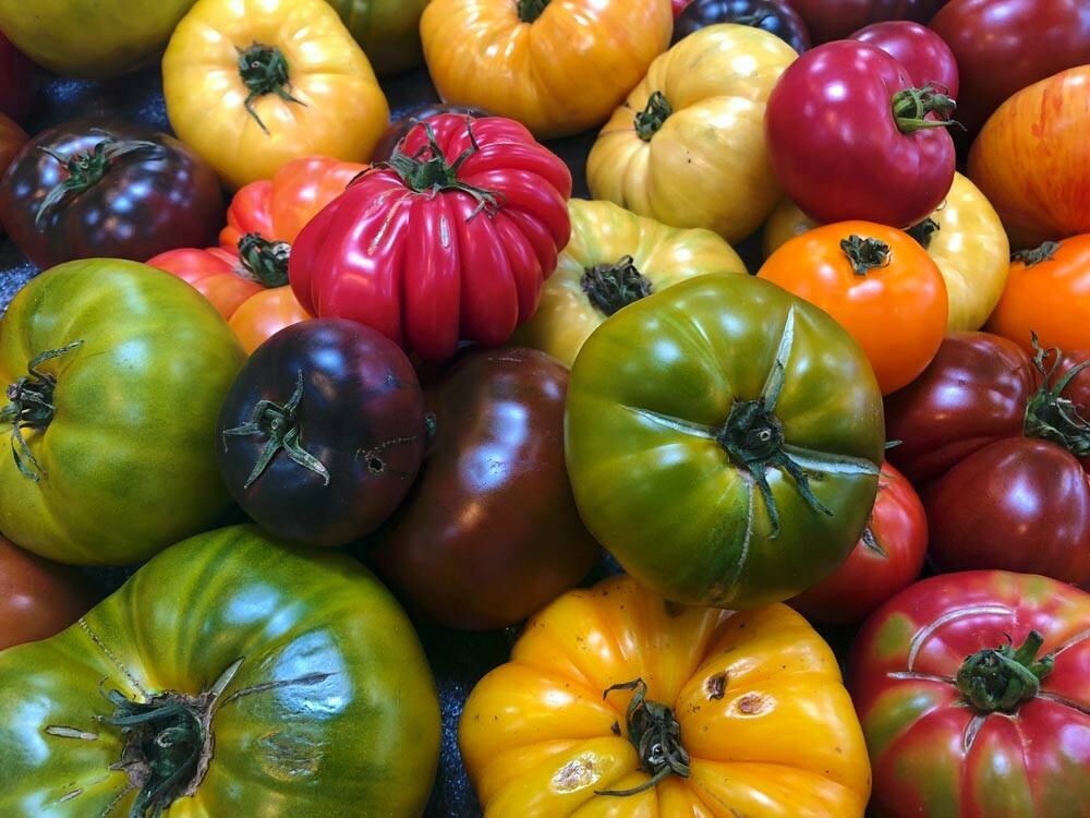 Mixed Heirloom Tomato Seeds without Cherry.