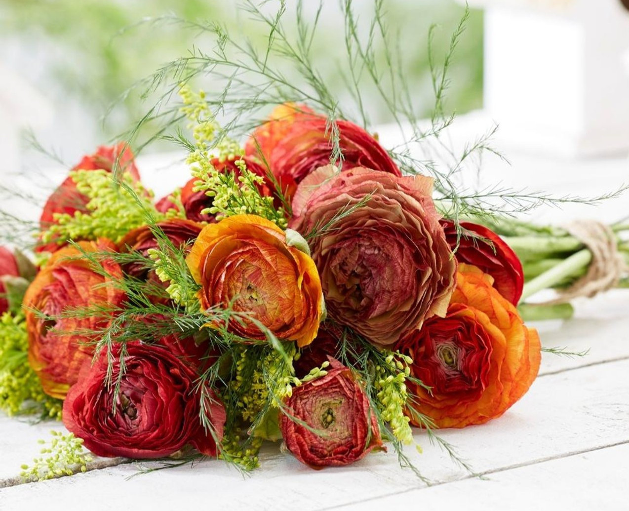 10 Ranunculus Flower Bulbs Cafe Corms Buttercup Peony Rose Florist Flowers Plant