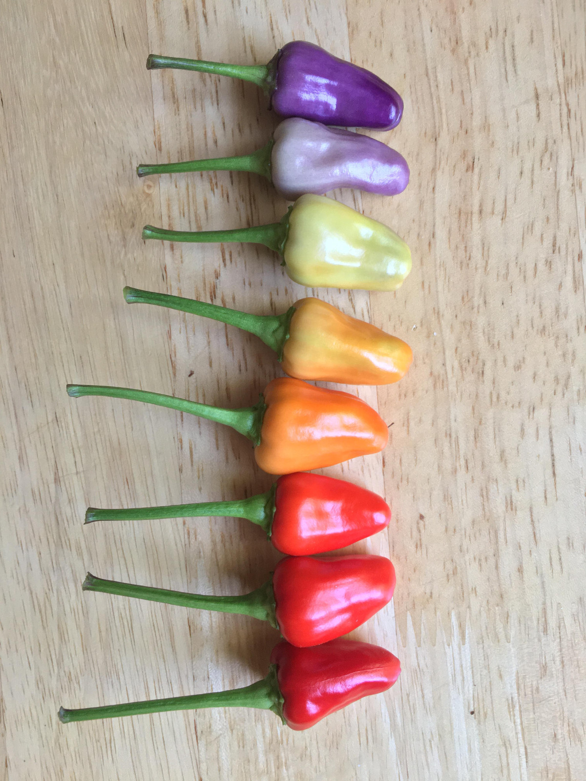 NuMex Twilight Pepper Seeds (20) / FLORIDA GROWN / RARE / AMAZING COLOR