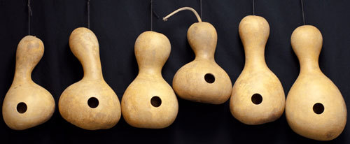 Birdhouse Bottle Gourd, Lagenaria siceraria, Seeds