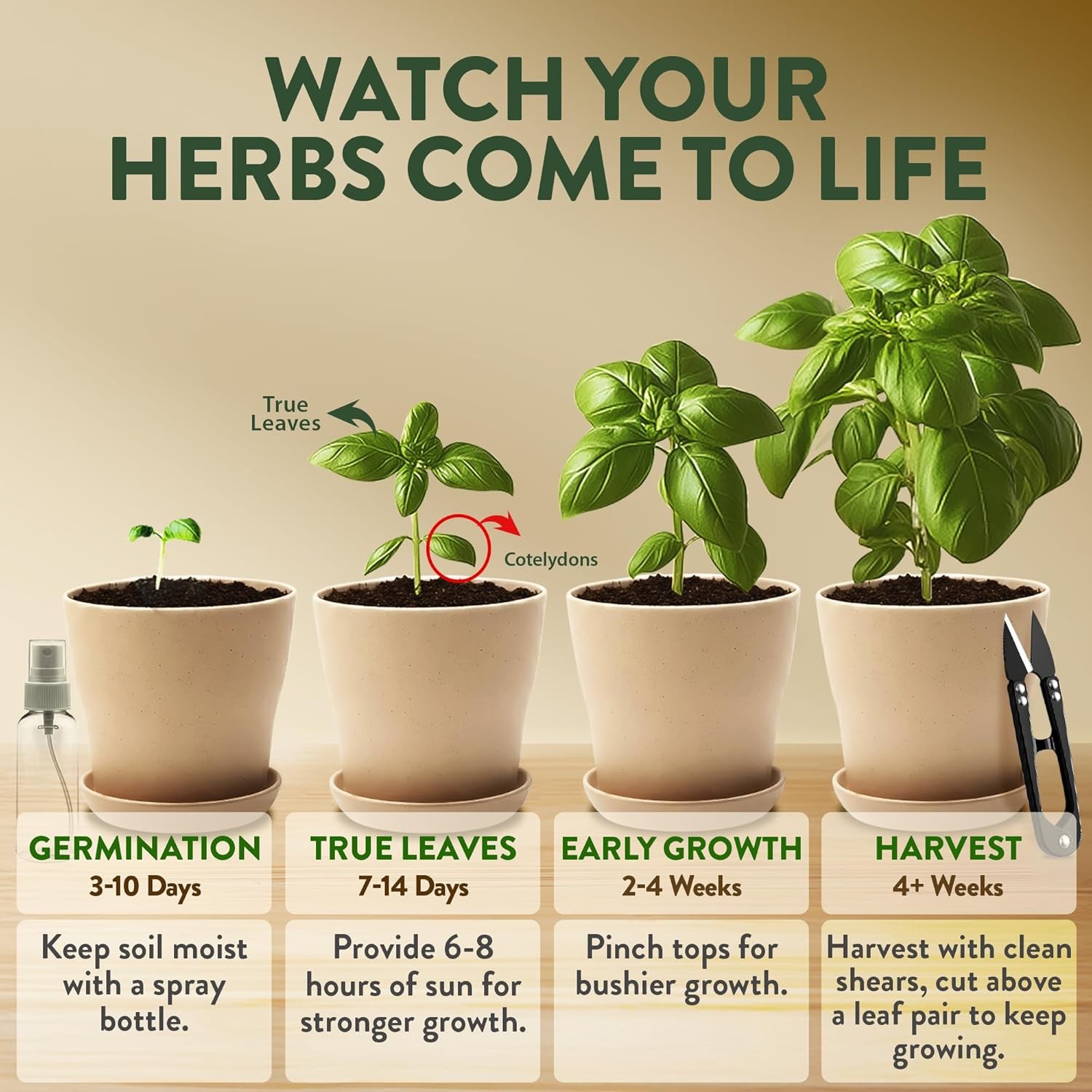Herb Garden Starter Kit Indoor Grow Set w Pots Soil Seeds Tools