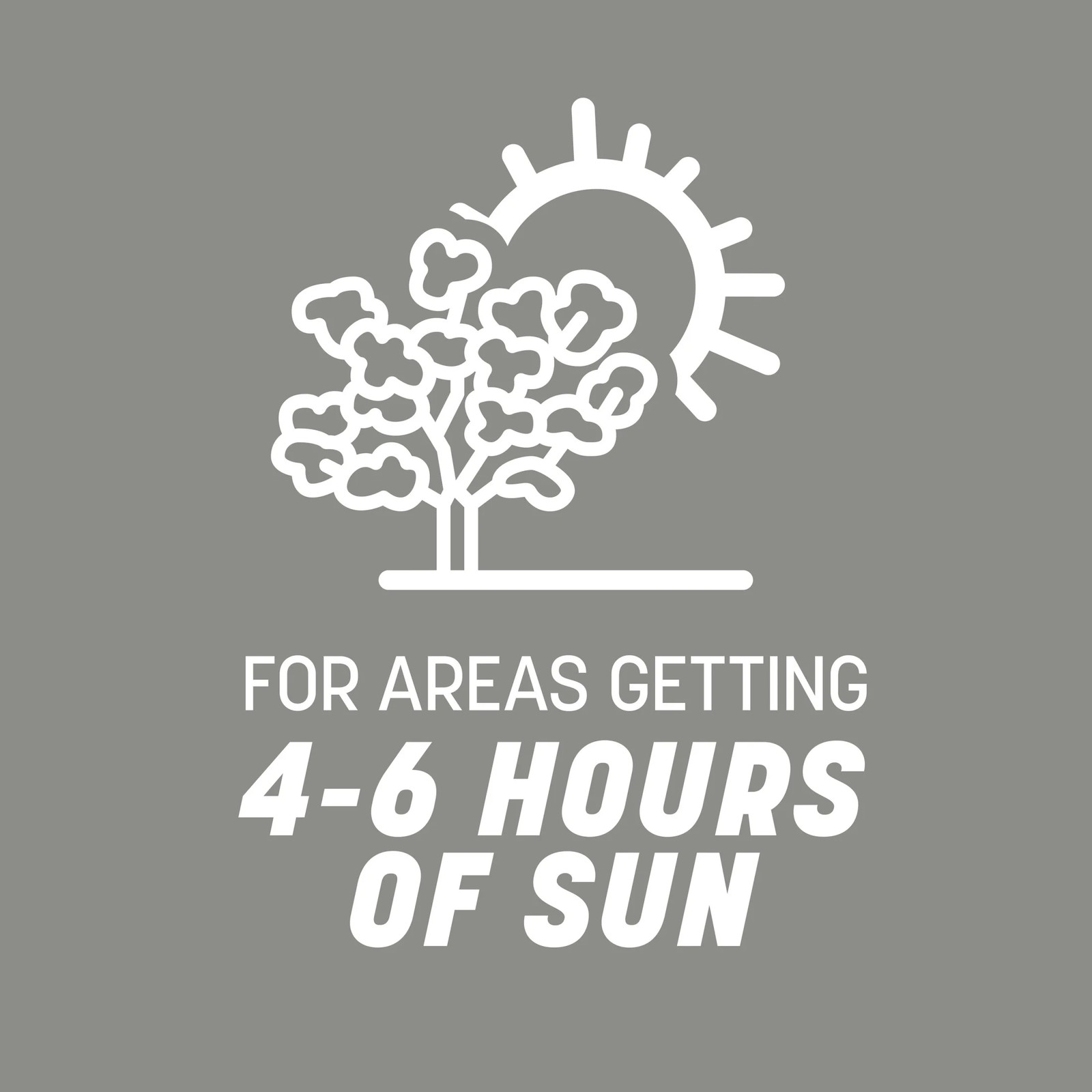 Contractors Central Grass Seed Mix, Grass Seeds for Lawn, for Sun to Partial Sha