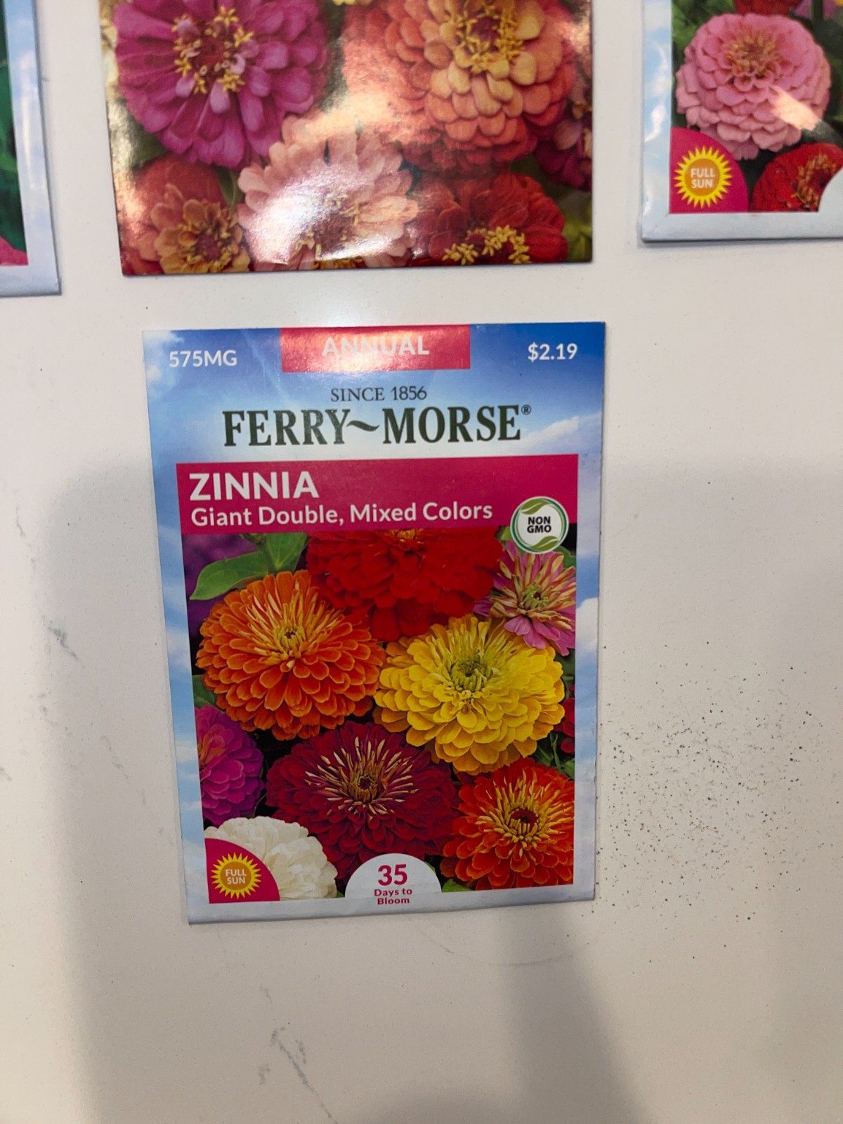 10 PACK BUNDLE LOT ZINNIA SEEDS