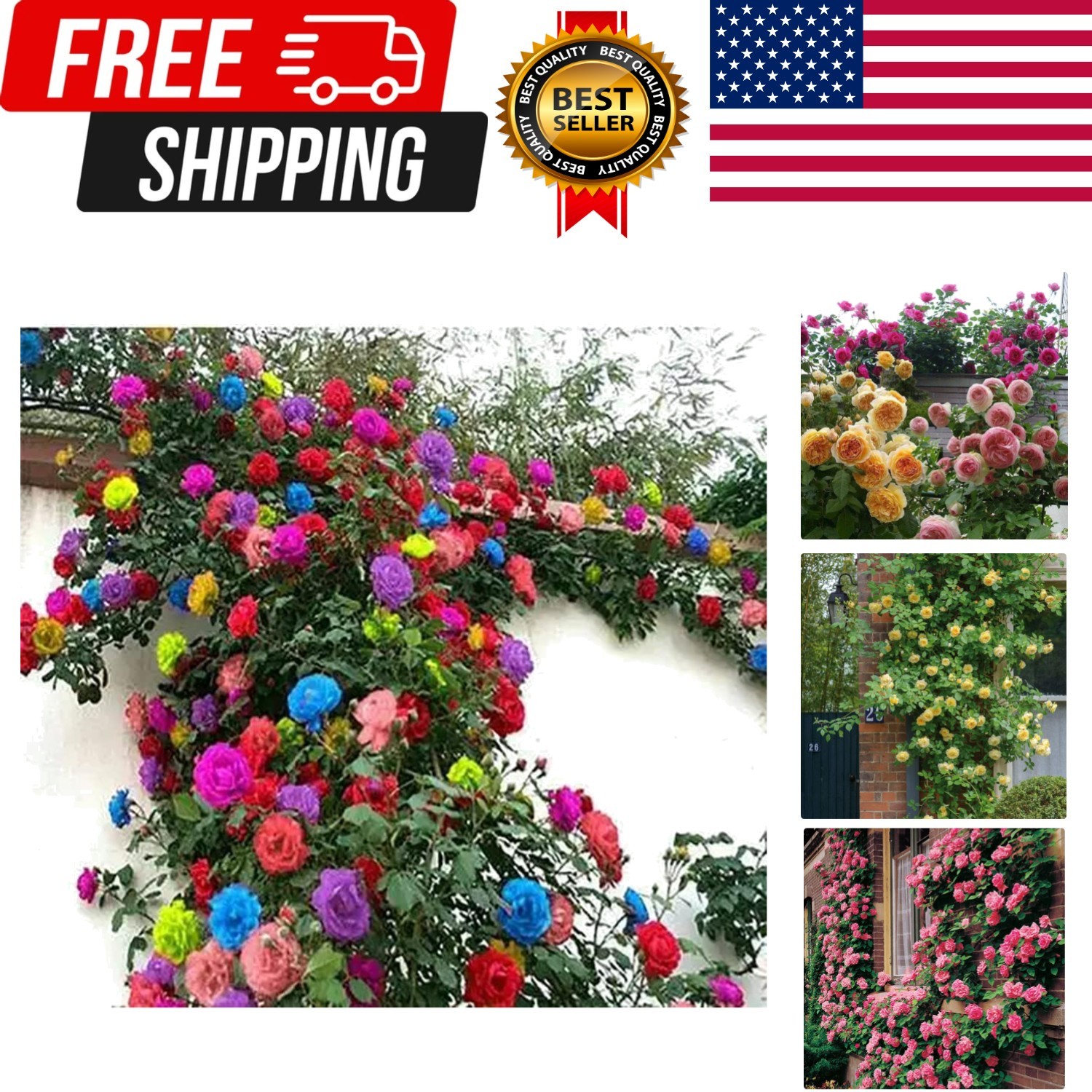 200+ Mix Climbing Rose Seeds for Planting Outdoors Ornamental Climbing Flower…